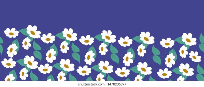 Horizontal seamless white daisies border. Vector elements, that can be used on the web, or in print, for surface design