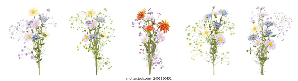 Horizontal set of chamomile bouquet. White daisies, marigold, blue asters flowers. Panoramic view. Realistic botanical illustration on white background in watercolor style for Valentine, Bright vector