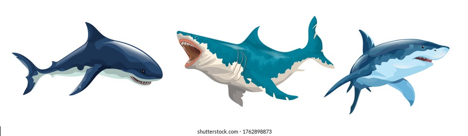 Horizontal set of different sharks in vector. Several sharks in motion and different colors and a shark hanging on a hook. Izolated on on a white background