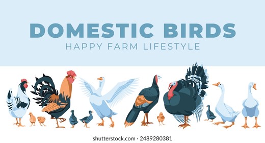 Horizontal set of domestic farm animals. Vector flat illustration. Farming and agriculture