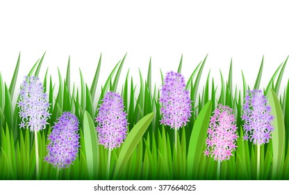 Horizontal spring background with grass and hyacinths on a white background.