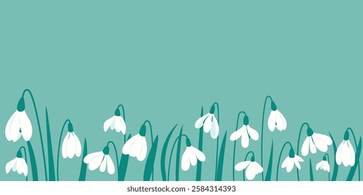Horizontal Spring banner or floral background with snowdrops. White spring flowers. Spring banner for seasonal sale. Botanical floral frame. Perfect for greeting cards, flyers, birthday, mother's day 