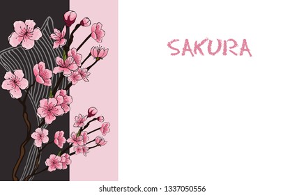 Horizontal spring banner in oriental style. Pink cherry flowers, sakura and contours on the branches of trees. There is a place for your text on a white background.
