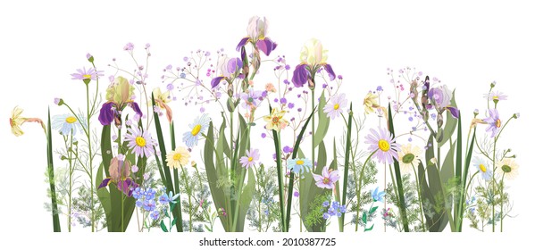 Horizontal spring's border: irises, daffodils (narcissus), daisy, blue purple flowers, small green twigs on white background. Digital draw, illustration in watercolor style, panoramic view, vector