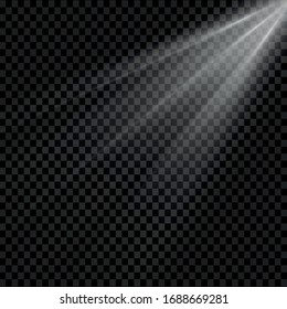 Horizontal stellar rays and searchlight. Vector blur in the silver light of radiance.