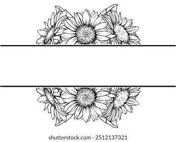 Horizontal Sunflowers Frame with space for text. Vector illustration Graphic Flowers Pen and Ink Drawing on white background. Botanical engraving design. EPS10