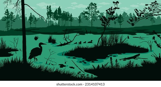Horizontal swamp landscape 