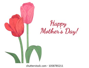Horizontal template card for Mother's Day with tulips: red, pink flowers, green leaves, stems, white background. Hand draw botanical sketch illustration, vintage, vector, copy space