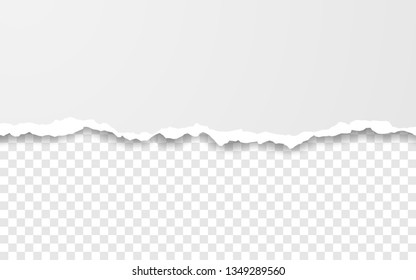 Horizontal torn paper edge. Ripped squared horizontal white paper strips. Vector illustration.