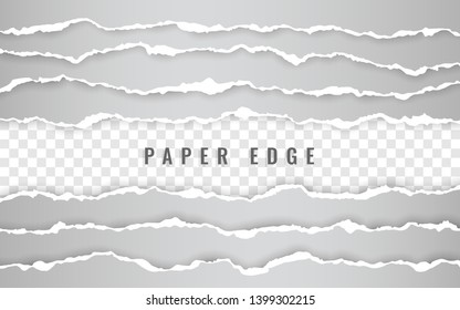 Horizontal torn paper edge. Ripped squared horizontal white paper strips. Vector illustration.