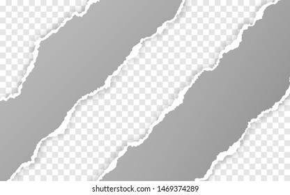 Horizontal torn paper edge. Ripped squared horizontal paper strips. Vector illustration.