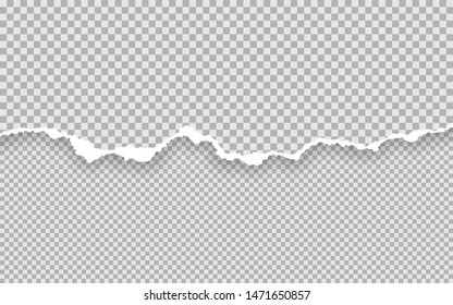 Horizontal torn paper edge. Ripped squared horizontal paper strips. Vector illustration.