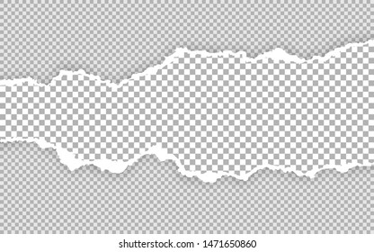 Horizontal torn paper edge. Ripped squared horizontal paper strips. Vector illustration.