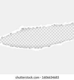 Horizontal torn paper edge. Paper texture. Rough broken border of paper stripe. Vector illustration isolated on white background