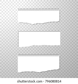Horizontal Torned Off Piece of Paper with Spiral Bound. Empty Isolated Edge on Transparent Background. White Banner. Template for Advertising. Vector Illustration