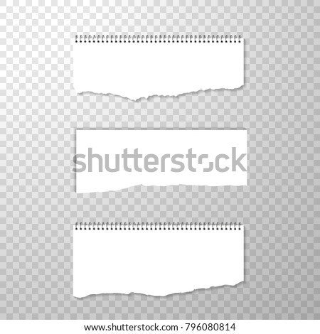 Horizontal Torned Off Piece of Paper with Spiral Bound. Empty Isolated Edge on Transparent Background. White Banner. Template for Advertising. Vector Illustration