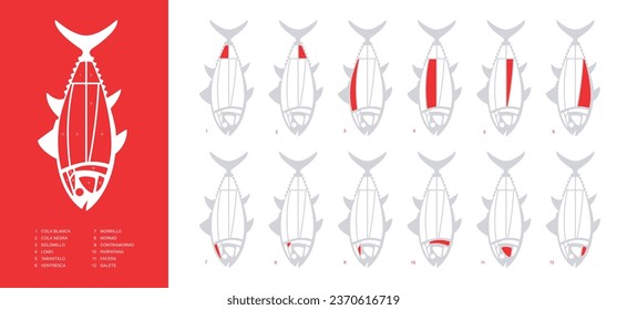 Horizontal Tuna Cuts diagram (ronqueo). Parts of tuna written in Spanish. 