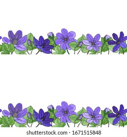 Horizontale vectonische Grenze von isolierten Blumen, Knospen, Blättern. Schneeröcke, Lilien, Anemone, violette Infloreszenzen werden von Hand gezeichnet. Botanische Vektorillustrationen auf weißem Hintergrund.