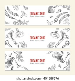 Horizontal vector banner with mushroom, olive, pepper, onion isolated on white, Hand drawn sketch vegetable, Ideal for use in organic food industry healthy green food market vegetarian restaurant menu