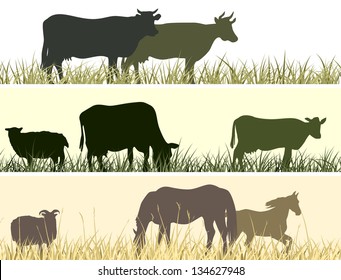 Horizontal vector banner: silhouettes of grazing animals (cow, horse, sheep).