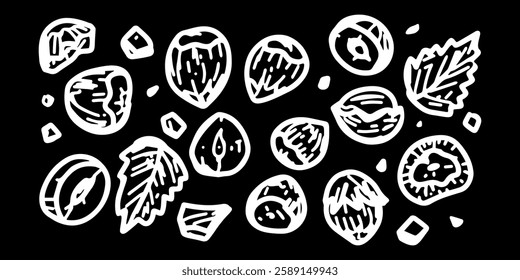 Horizontal vector banner with a white image of a hazelnut with leaves of various shapes on a black background