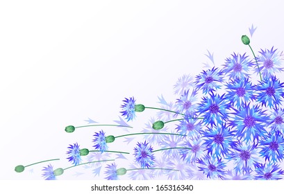 Horizontal vector card with bluebottles