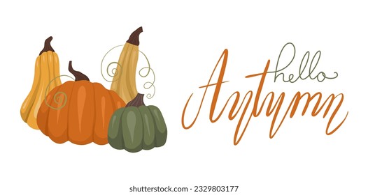 Horizontal vector card with pumpkins and lettering on white background. Quote hello autumn. Autumn banner with vegetables and calligraphic inscription.