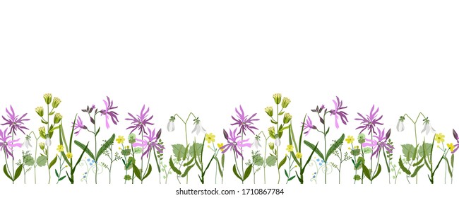 Horizontal vector design of summer flowers and herbs seamless vector on a white background. Summer field. Hand drawn stock illustration. Design for frame, tablecloth, postcard, fabric, paper.