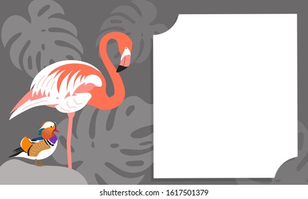 Horizontal vector frame with exotic birds: Flamingo and Mandarin duck.