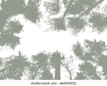 the horizontal vector grunge texture. abstraction background. illustration for your design