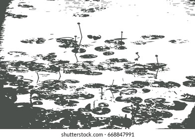 the horizontal vector grunge texture. flowers lilies with leaves on the water surface. the background image for your design.