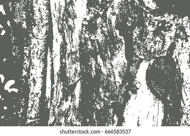 the horizontal vector grunge texture. old ragged wall. the background image for your design