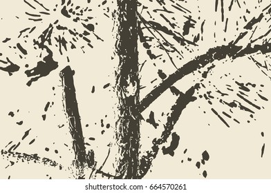 the horizontal vector grunge texture. young spruce needles and bark. the separate layers. the background image for your design