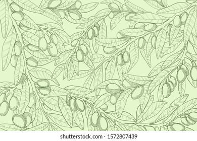 Horizontal vector hand drawn background with olive branch, berry and leaves in engraved style. Sketch illustration with green olives twig on pastels green background. Best for web or print design