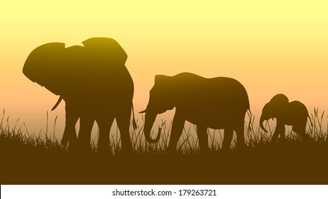 Horizontal vector illustration family of elephants in African sunset savanna.