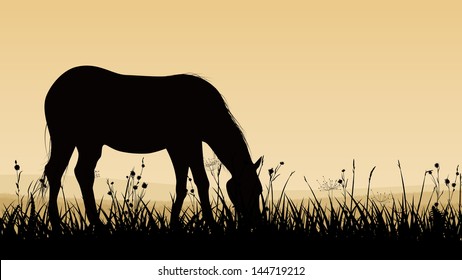 Horizontal vector illustration of horse grazing in the meadows at sunset (twilight).