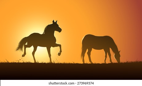 Horizontal vector illustration pair of wild horses in meadow at sunset.