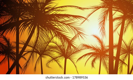 Horizontal vector illustration of silhouettes beach large palms with sunlight.