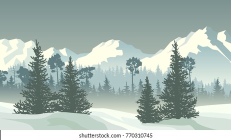 Horizontal vector illustration of snowy coniferous forest and spruce trees valley with mountains.