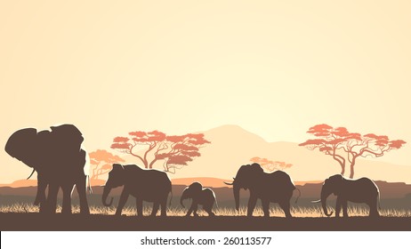 Horizontal vector illustration wild herd of elephants in African sunset savanna with trees.