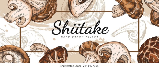 Horizontal vector pattern with an empty space for text and a frame in the center. Illustration of whole and chopped shiitake mushrooms hand-drawn, highlighted for culinary design.