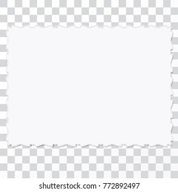 the horizontal vector realistic blank template pictures with the ornament the edges, and shadow. on a transparent background for your design