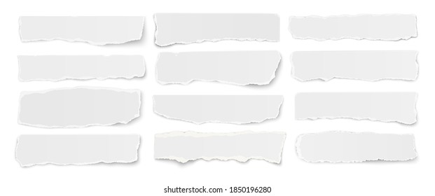 Horizontal vector set of torn long pieces of paper isolated on a white background.