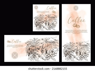 Horizontal, vertical, and square arabica coffee banners set. view drawing coffee picker hand on white background with coffee tree plant in sketch etching style. Design for advertising, café or shop