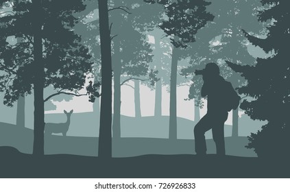 Horizontal view of a landscape in a forest with a man photographing a deer standing among trees - vector
