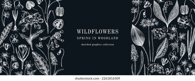 Horizontal vintage banner with wildflowers sketches. Floral design on chalkboard. Delicate contoured blooming flowers and leaves border. Spring woodland or garden botanical vector background for print