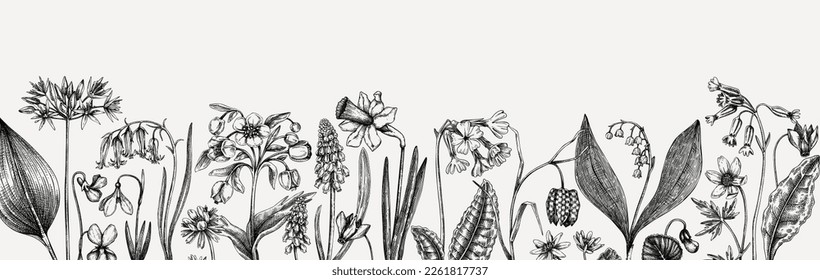 Horizontal vintage banner with wildflowers sketches. Floral backdrop in engraved style. Delicate contoured blooming flowers and leaves border. Spring woodland or garden botanical vector background