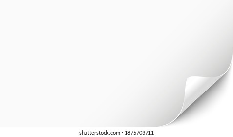 Horizontal web banner, blank background template with space for your text or picture. Vector illustration.