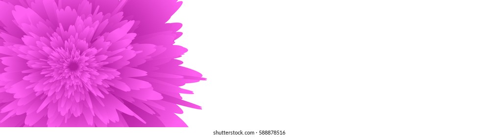 Horizontal web banner with floral insert. vector illustration.  