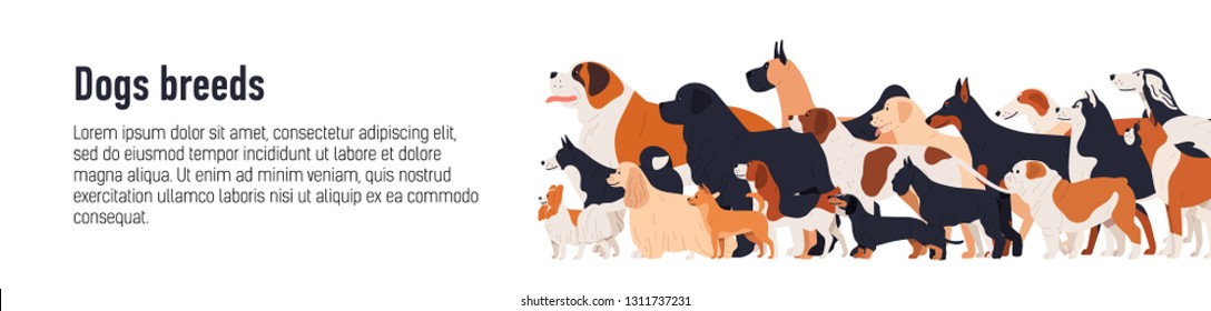 Horizontal web banner template for conformation dog show with adorable doggies of different breeds and place for text. Colorful vector illustration in flat cartoon style for event announcement.